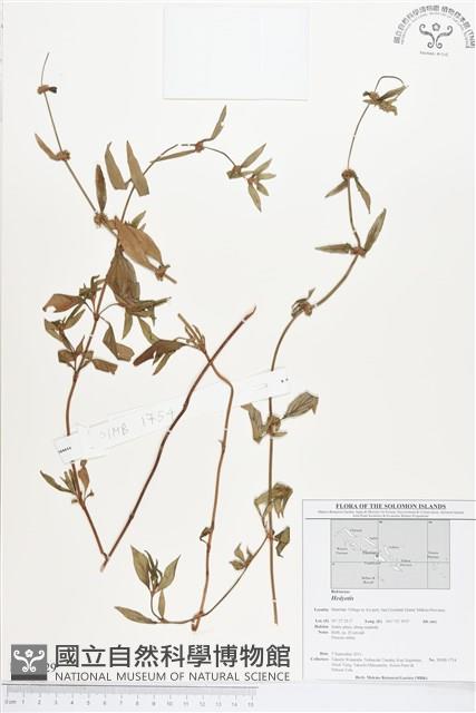 登錄號:BS01629藏品圖，第1張