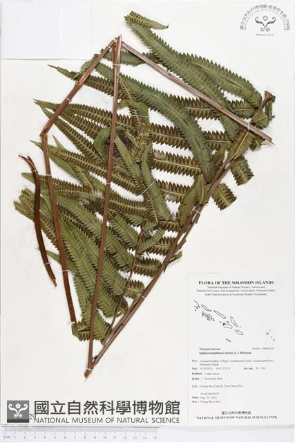 登錄號:BP00129藏品圖，第1張