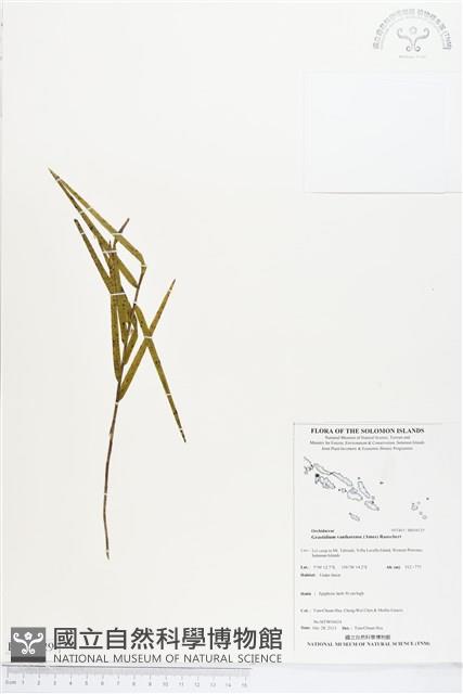 登錄號:BS04129藏品圖，第1張