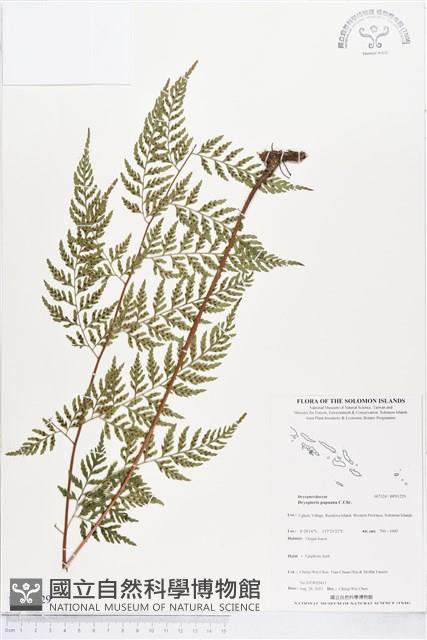 登錄號:BP01229藏品圖，第1張