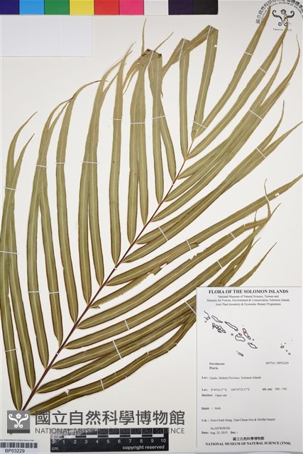 登錄號:BP03229藏品圖，第1張