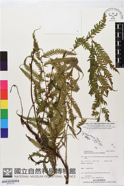 登錄號:BP02729藏品圖，第1張