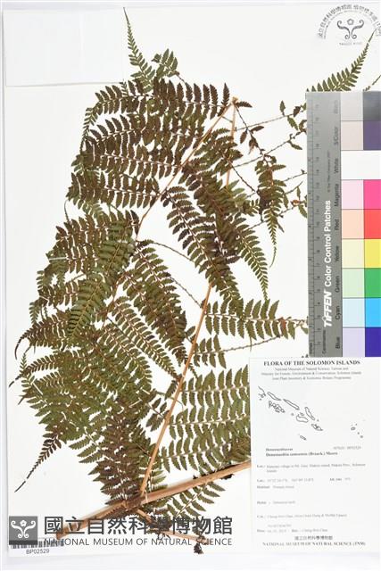 Accession Number:BP02529 Collection Image