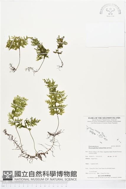 Accession Number:BP01529 Collection Image