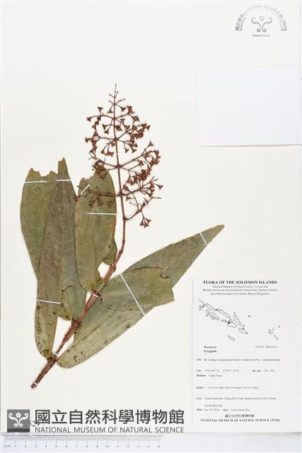 登錄號:BS04529藏品圖，第1張