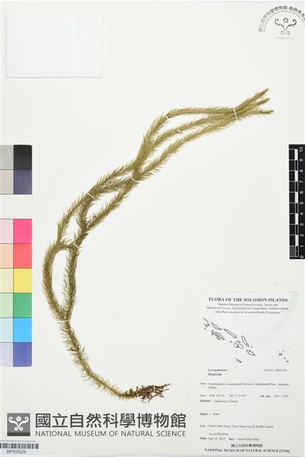 登錄號:BP03529藏品圖，第1張