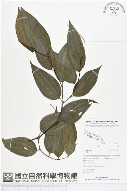 登錄號:BS01329藏品圖，第1張