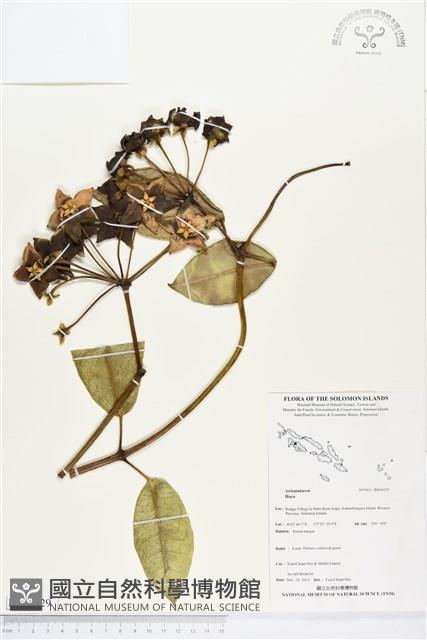 登錄號:BS04329藏品圖，第1張