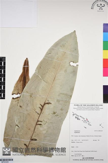 登錄號:BP03329藏品圖，第1張