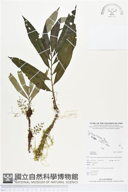 登錄號:BS03329藏品圖，第1張