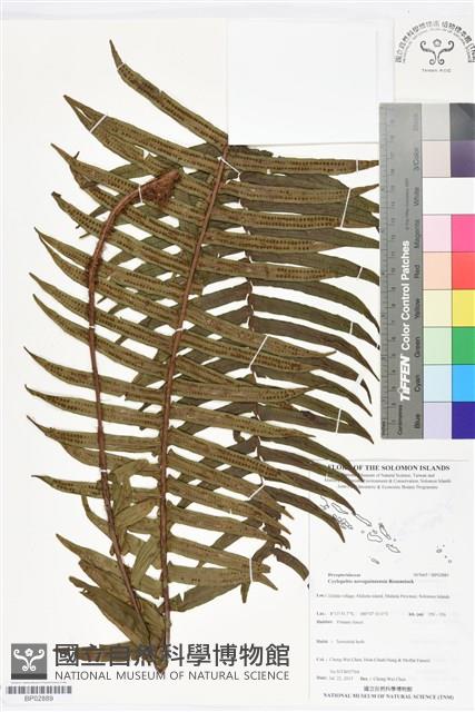 Accession Number:BP02889 Collection Image