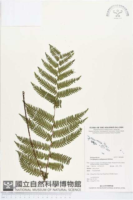 登錄號:BP00889藏品圖，第1張