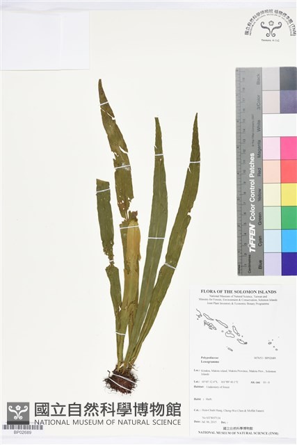 登錄號:BP02689藏品圖，第1張