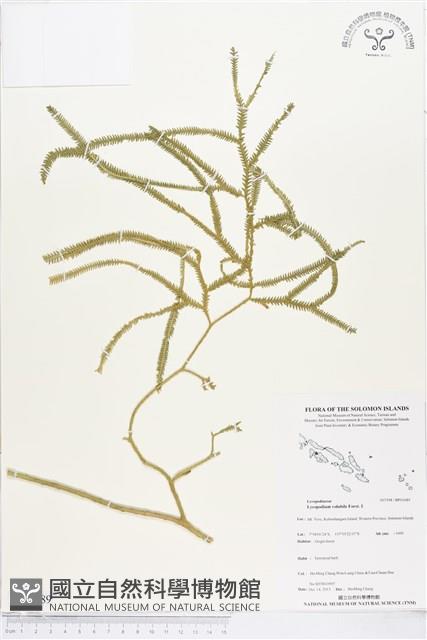 登錄號:BP01689藏品圖，第1張