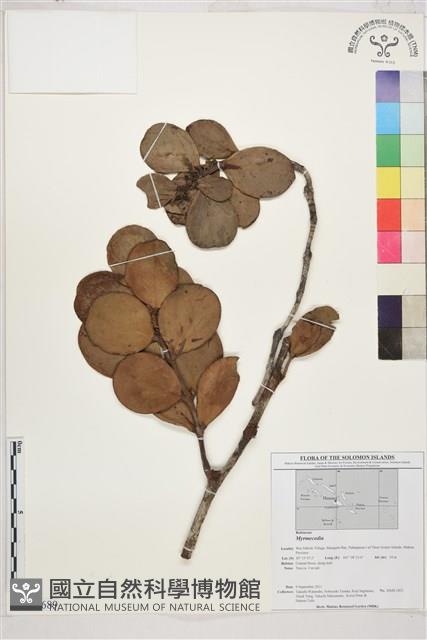 登錄號:BS01689藏品圖，第1張