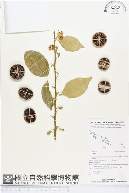 登錄號:BS02189藏品圖，第1張