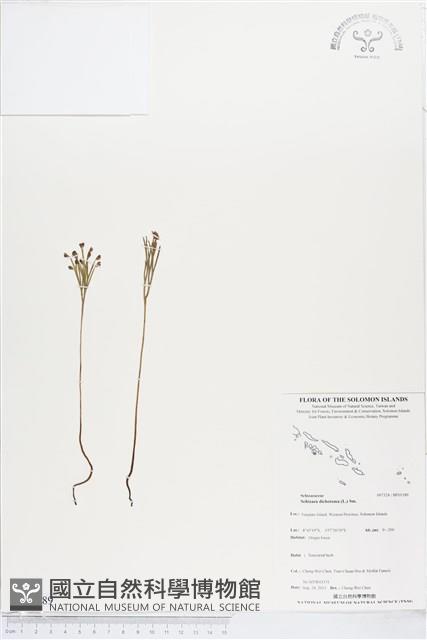 Accession Number:BP01189 Collection Image