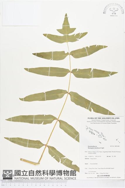 登錄號:BP01489藏品圖，第1張