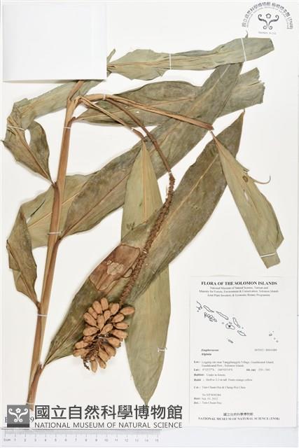 登錄號:BS01489藏品圖，第1張