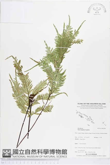 登錄號:BP01289藏品圖，第1張