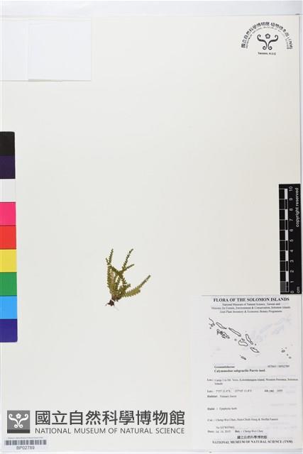 登錄號:BP02789藏品圖，第1張