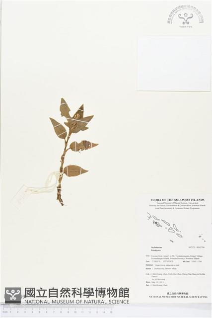 登錄號:BS02789藏品圖，第1張