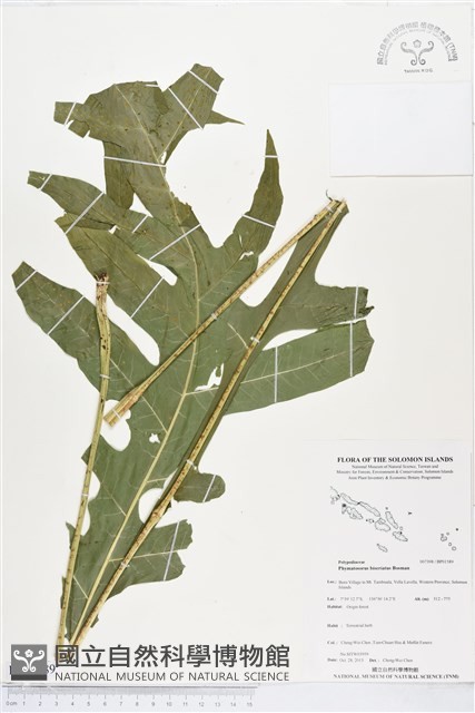 登錄號:BP01589藏品圖，第1張