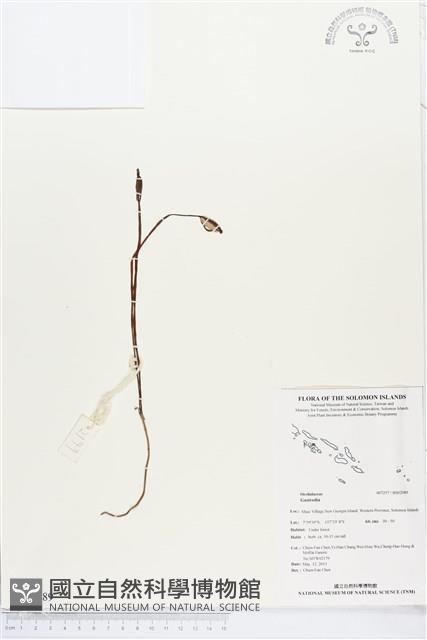 登錄號:BS02989藏品圖，第1張