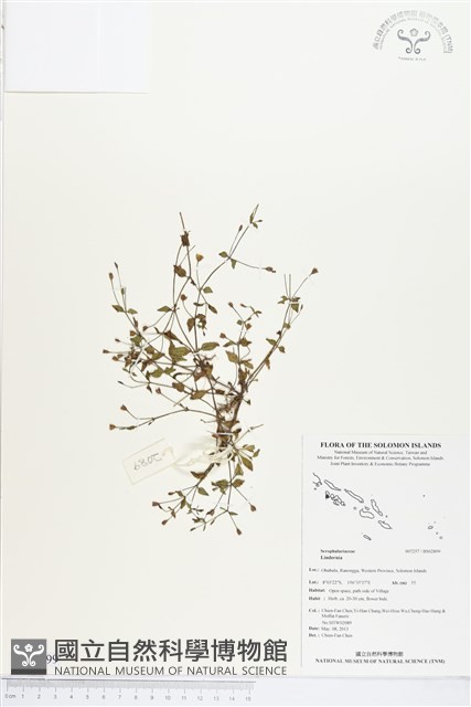 登錄號:BS02899藏品圖，第1張