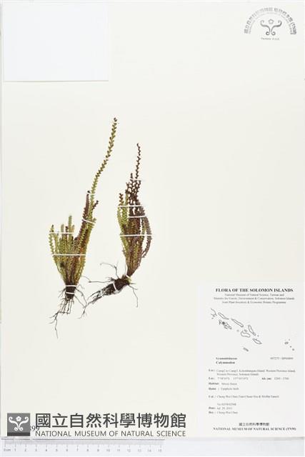 登錄號:BP00899藏品圖，第1張