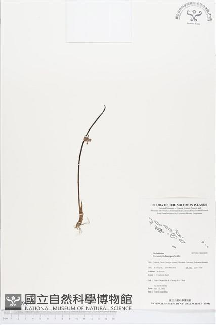 登錄號:BS01899藏品圖，第1張