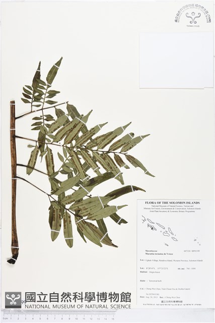 登錄號:BP01199藏品圖，第1張