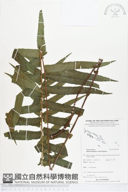 登錄號:BP01499藏品圖，第1張