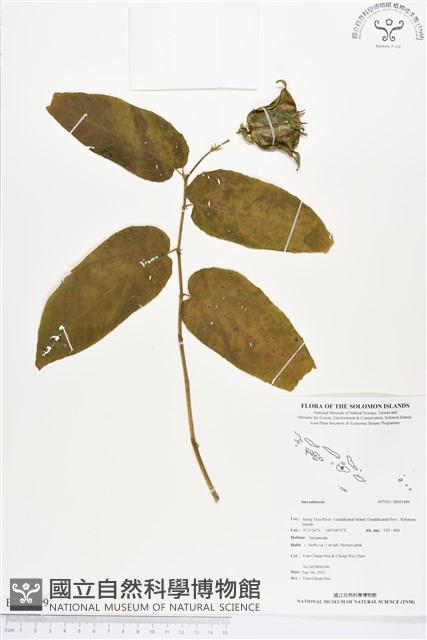 登錄號:BS01499藏品圖，第1張