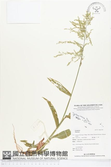 登錄號:BS02799藏品圖，第1張