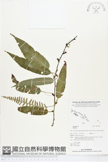 登錄號:BP00799藏品圖，第1張