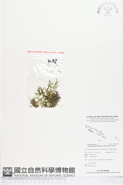 登錄號:BP00999藏品圖，第1張