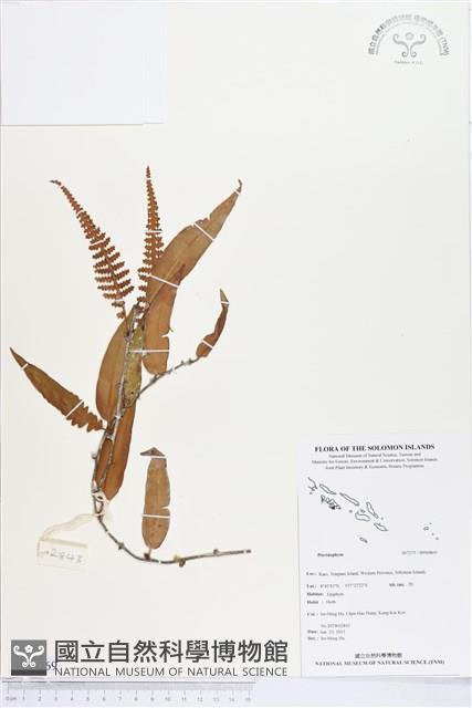 登錄號:BP00869藏品圖，第1張