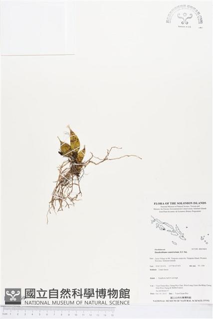 登錄號:BS03869藏品圖，第1張