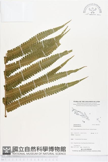 登錄號:BP02069藏品圖，第1張