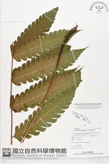 登錄號:BP00069藏品圖，第1張