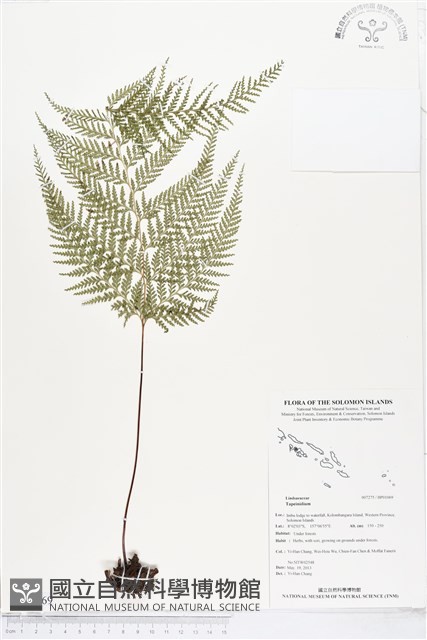 登錄號:BP01069藏品圖，第1張
