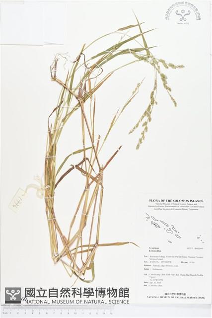 登錄號:BS02669藏品圖，第1張