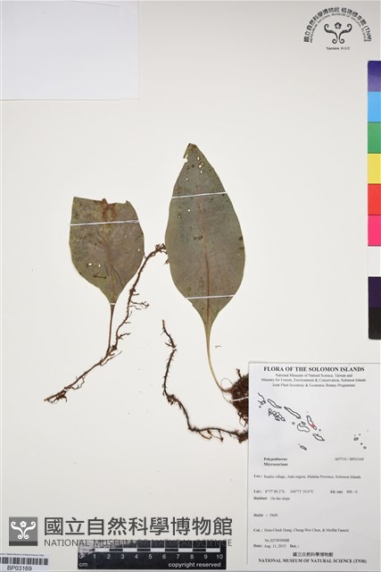 登錄號:BP03169藏品圖，第1張