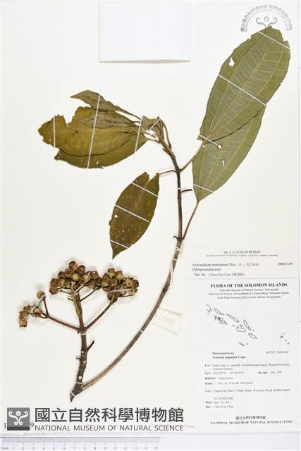 登錄號:BS03169藏品圖，第1張