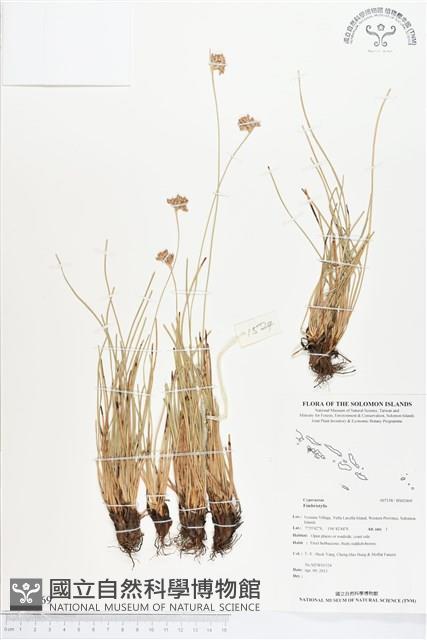 登錄號:BS02469藏品圖，第1張