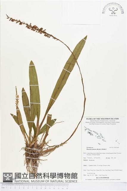 登錄號:BS03469藏品圖，第1張