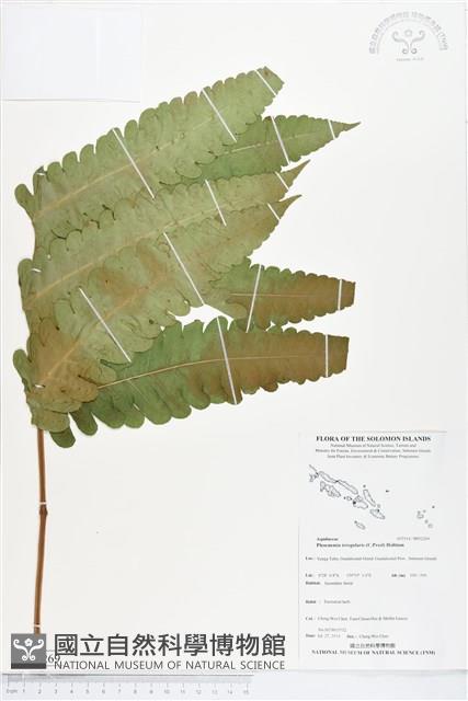 登錄號:BP02269藏品圖，第1張