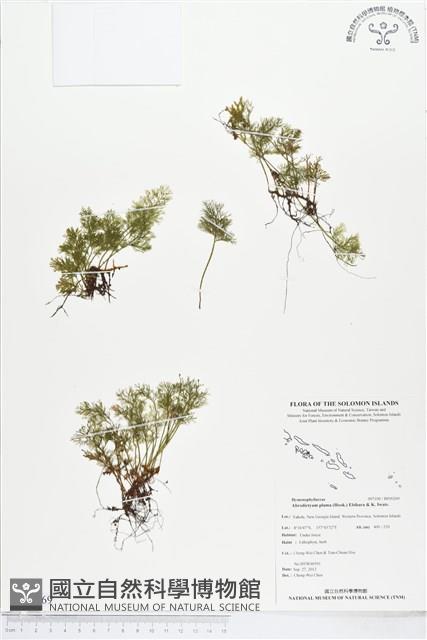 登錄號:BP00269藏品圖，第1張