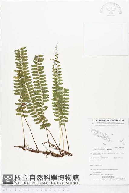 登錄號:BP01769藏品圖，第1張